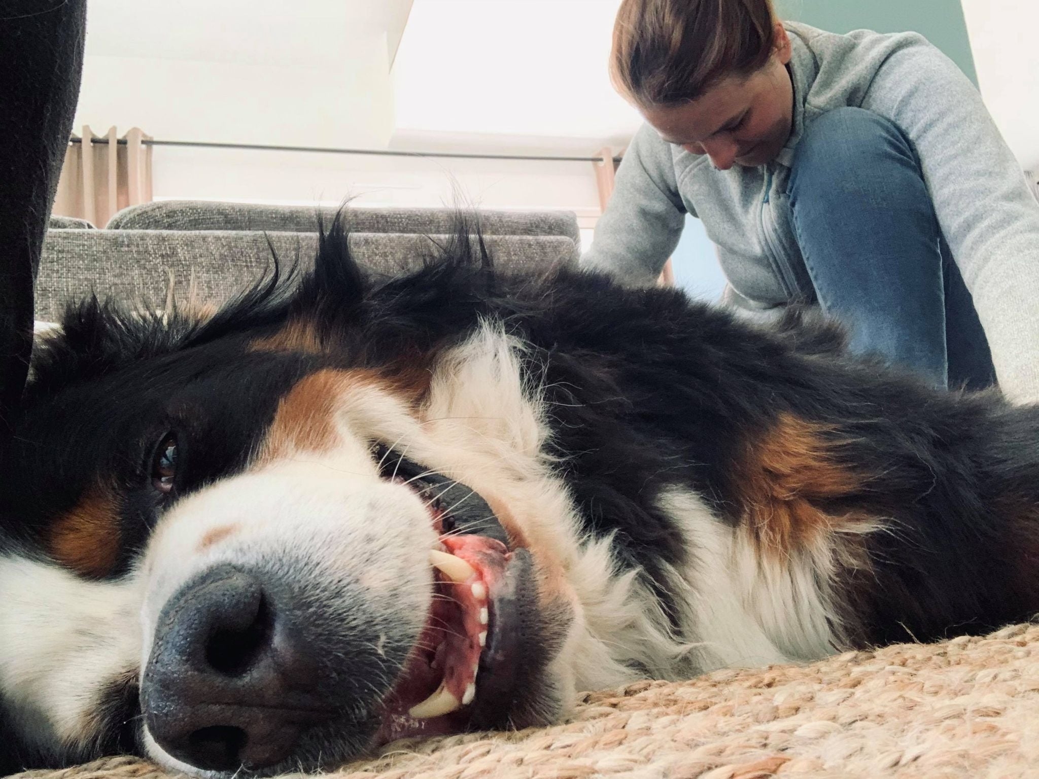 295034341 471110685019111 8951558795338884900 n (2)