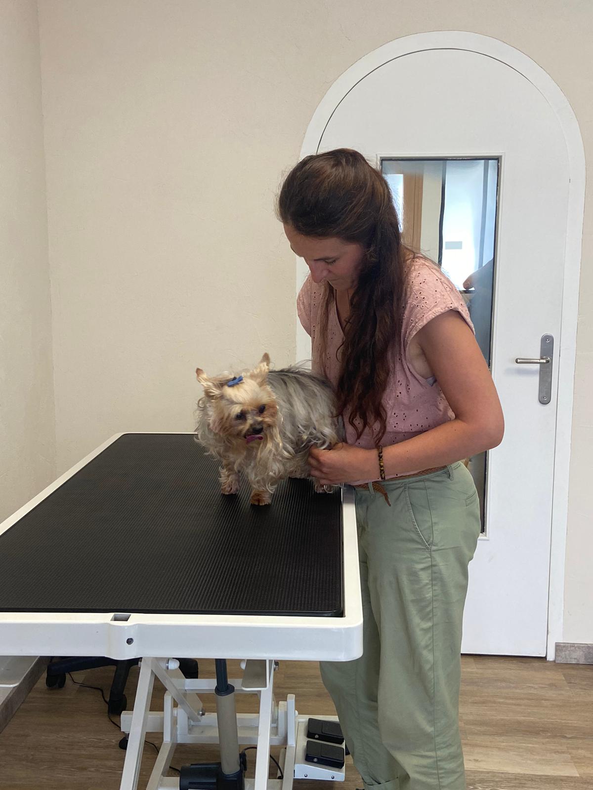 whatsapp image 2023 06 29 at 18.23.03(1)