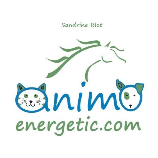 84086805 2538153029795770 1650491563177934848 n