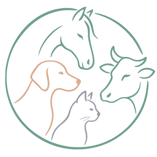 design sans titre (2)