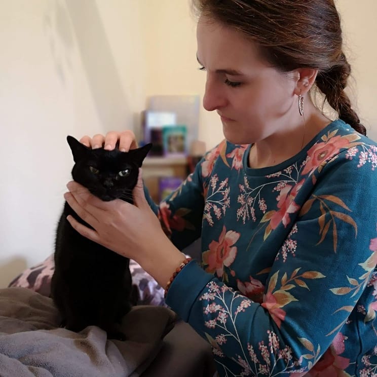 Séance d'ostéopathie féline à domicile