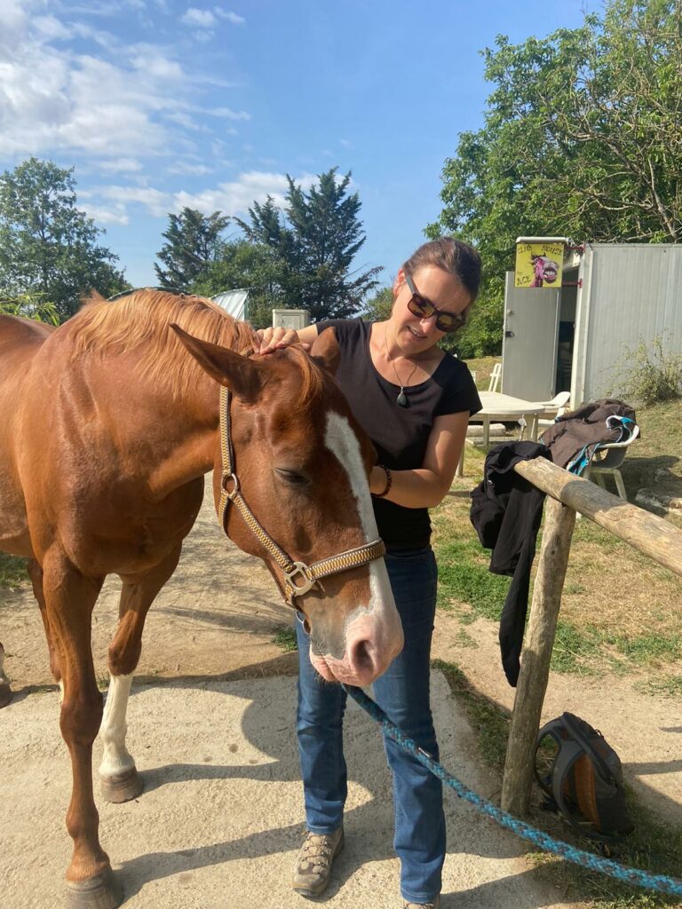 Séance d'ostéopathie équine